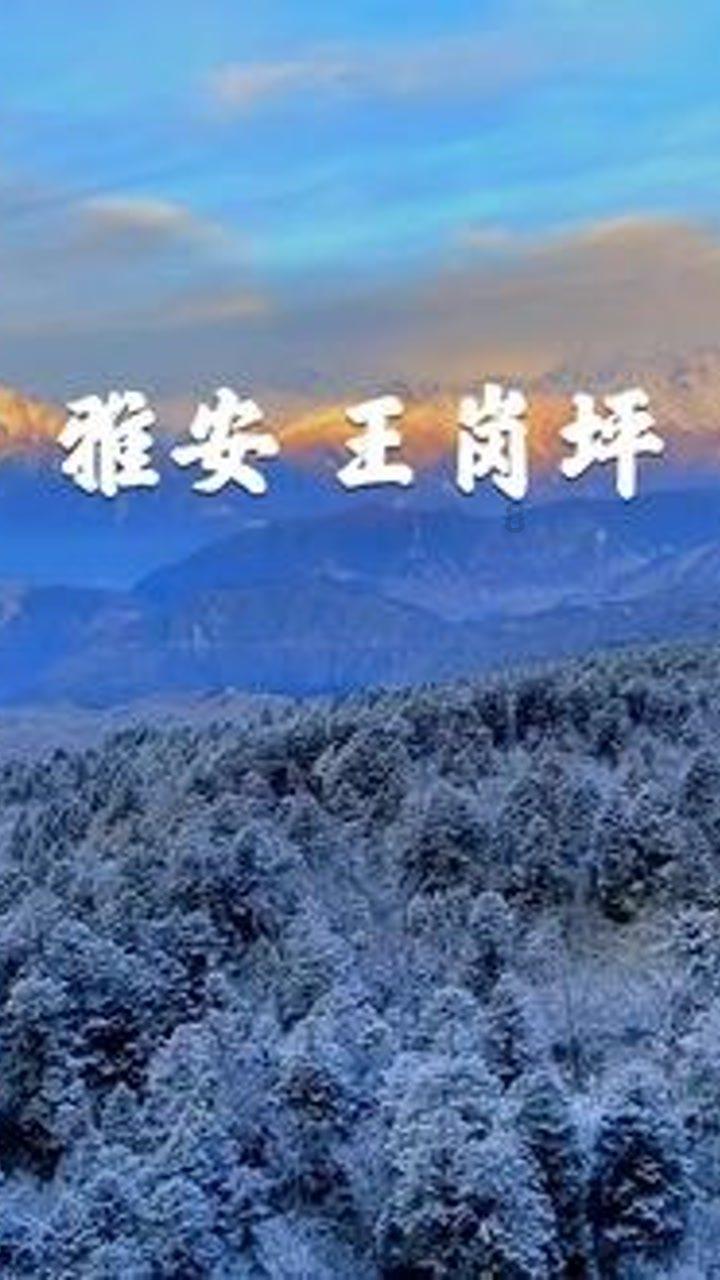 如何管理情绪?-专注知识星球,打造学习交流平台